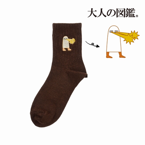 婦人靴下(レディースソックス) 大人の図鑑 古代エジプト編 メジェド(ビーム) スニーカー丈 1足組 3282-01P